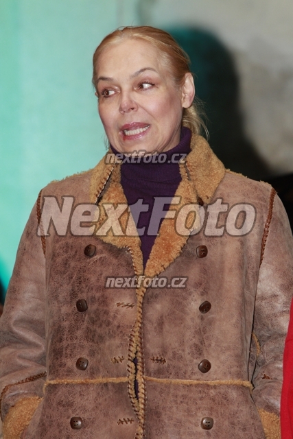 3248 Dagmar Havlova