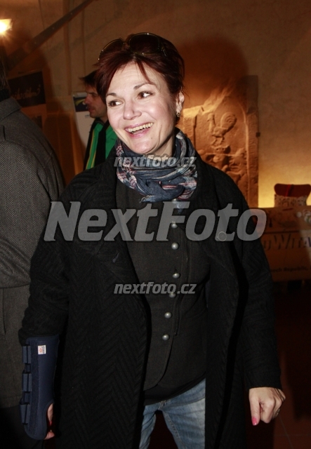 3264 Simona Postlerova