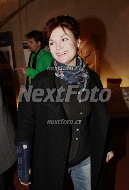 3265 Simona Postlerova