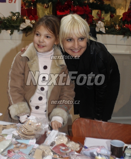 8159 Bara Nesvadbova Bibiana Brezinova