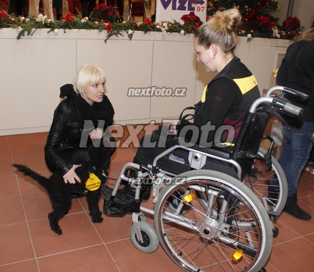 8181 Bara Nesvadbova
