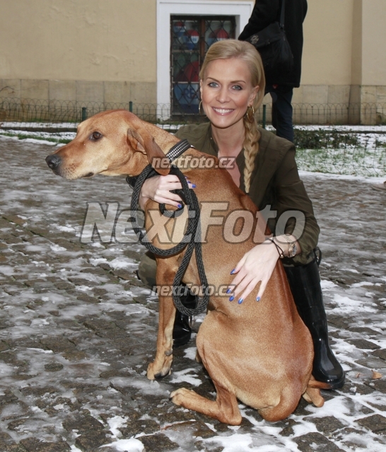 4386 Michaela Ochotska