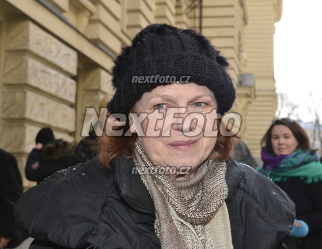 8195 Iva Janzurova