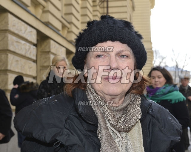 8196 Iva Janzurova
