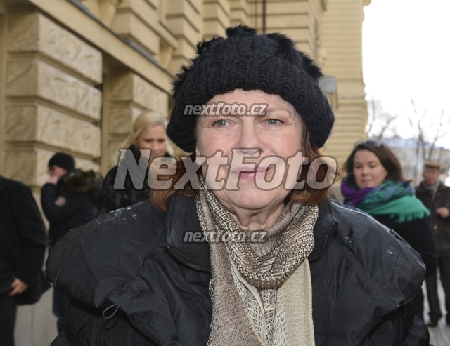 8197 Iva Janzurova