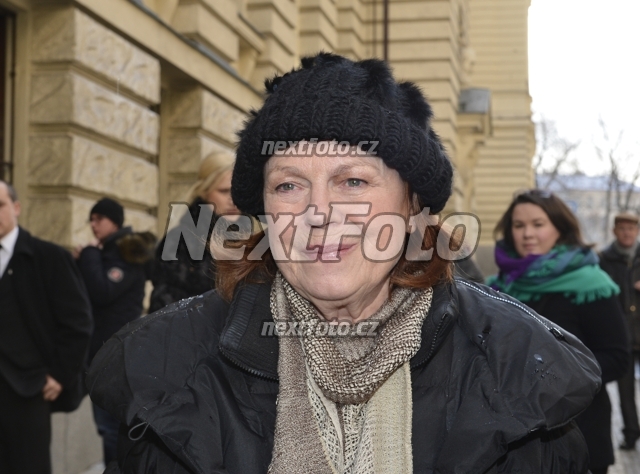 8198 Iva Janzurova