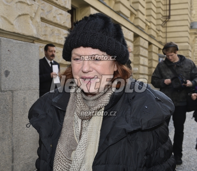 8200 Iva Janzurova