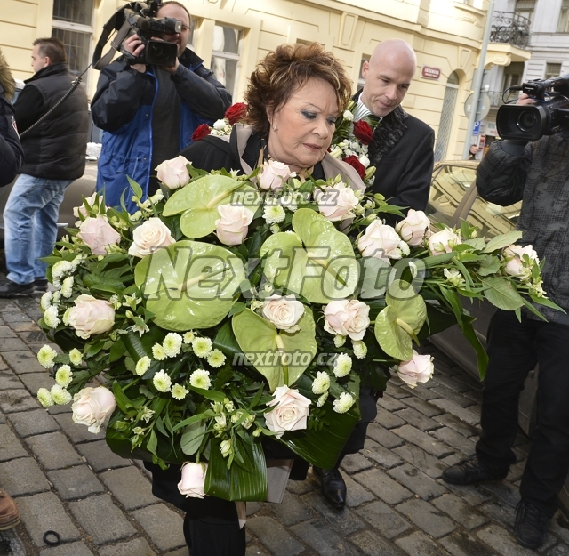 8225 Jirina Bohdalova Radek Pokluda
