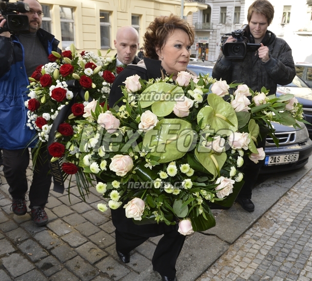 8229 Jirina Bohdalova Radek Pokluda