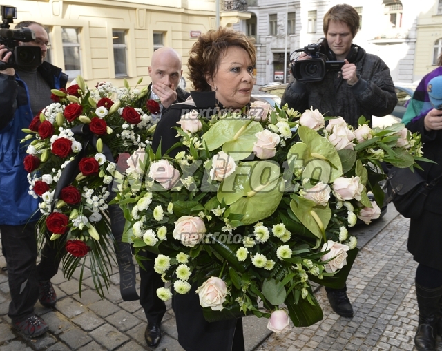 8230 Jirina Bohdalova Radek Pokluda