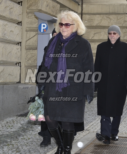 8255 Iva Huttnerova