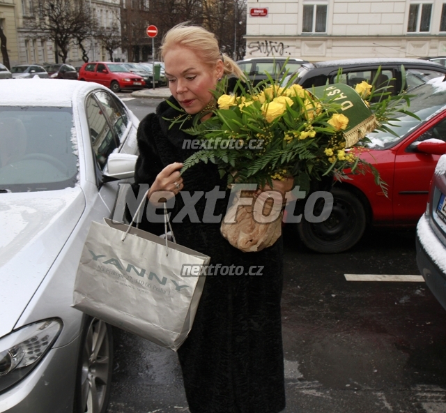 8955 Dagmar Havlova