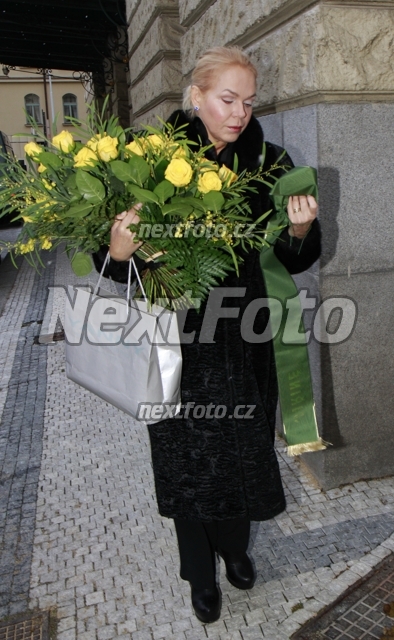 8973 Dagmar Havlova