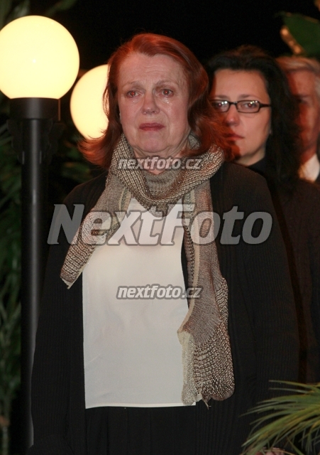 9468 Iva Janzurova