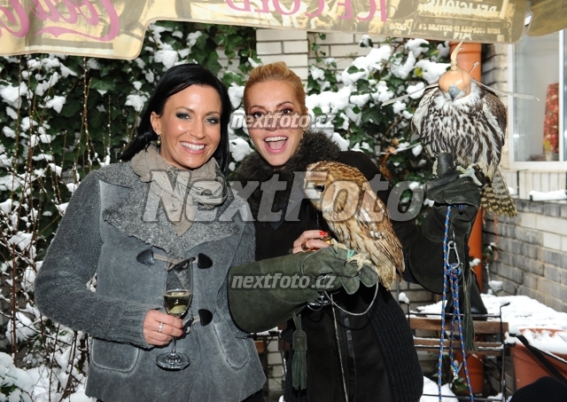 9161 Gabina Partysova Dara Rolins