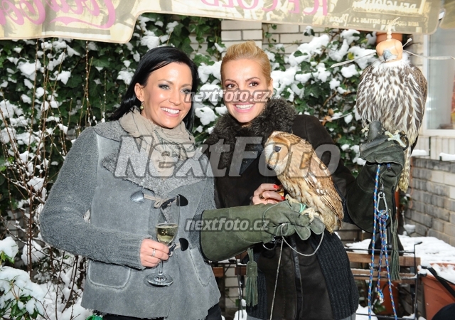 9162 Gabina Partysova Dara Rolins