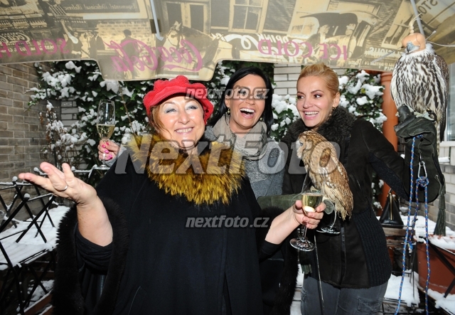 9163 Halina Pawlowska Dara Rolins Gabina Partysova