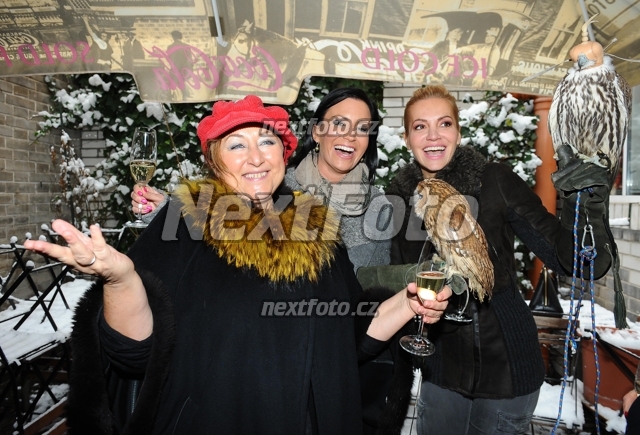 9164 Halina Pawlowska Dara Rolins Gabina Partysova