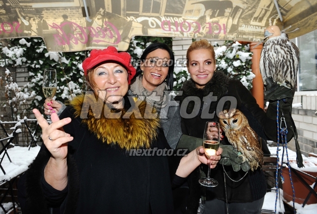 9165 Halina Pawlowska Dara Rolins Gabina Partysova