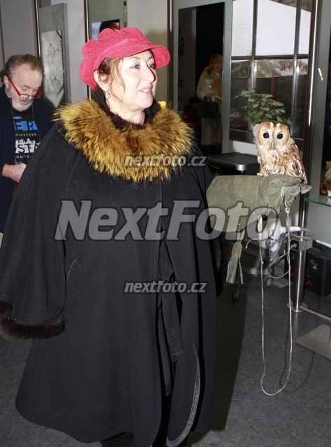 9936 Halina Pawlowska