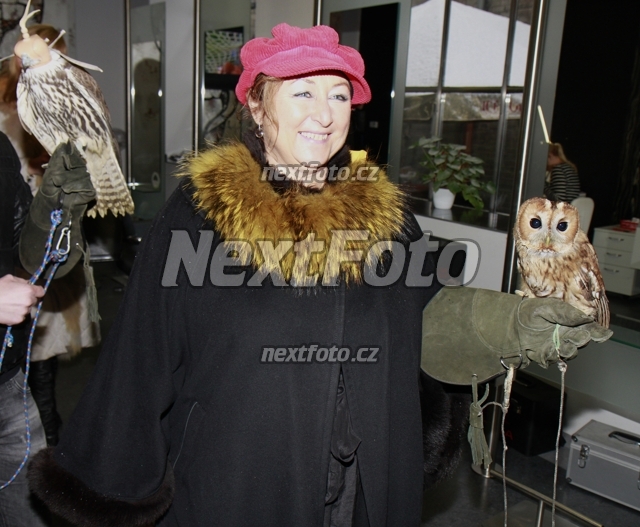 9940 Halina Pawlowska