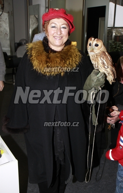 9993 Halina Pawlowska