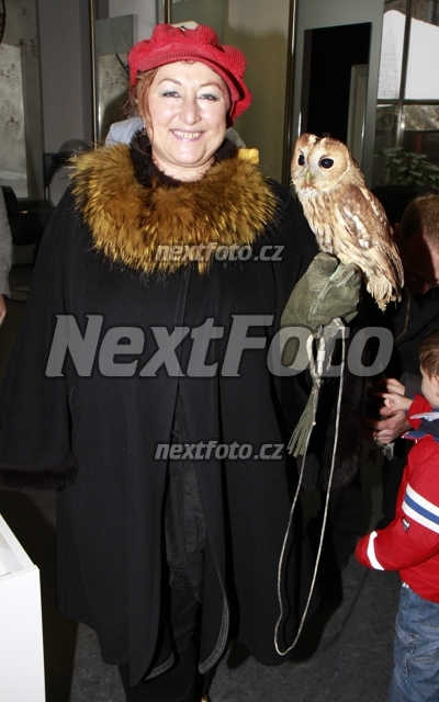 9994 Halina Pawlowska