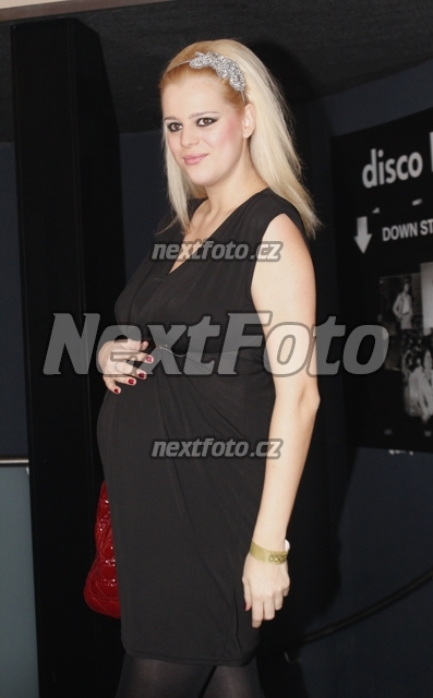 4897 Ornella Stikova