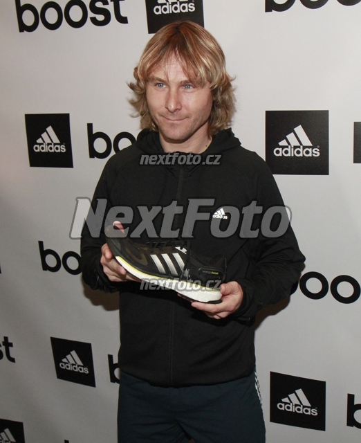 2139 Pavel Nedved