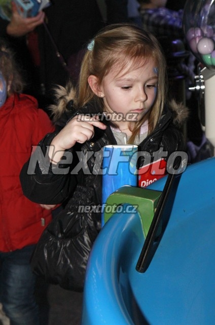 0256 Laura Rolins Homolova