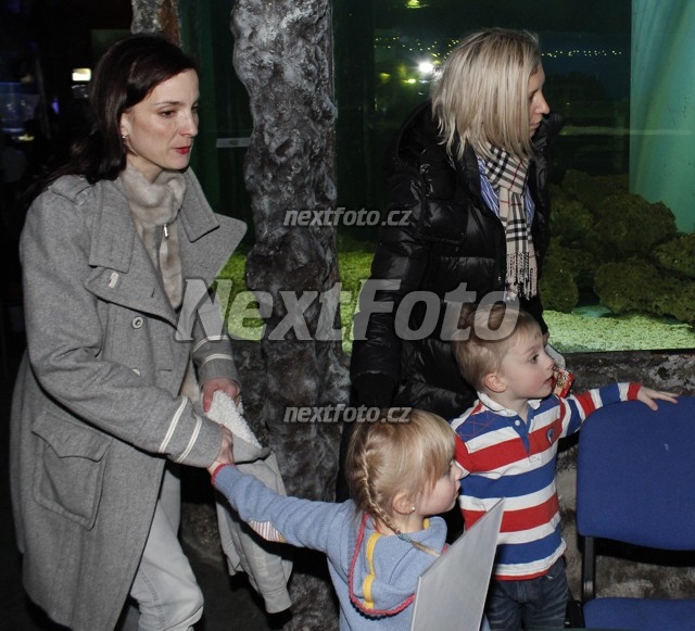 7248 Michaela Maurerova