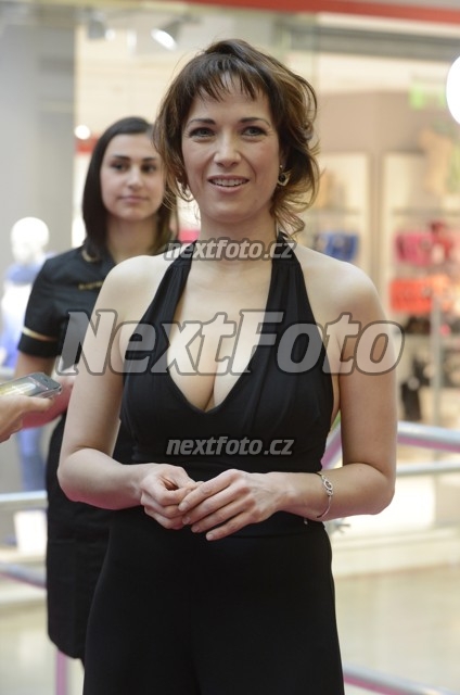 3379 Tereza Kostkova
