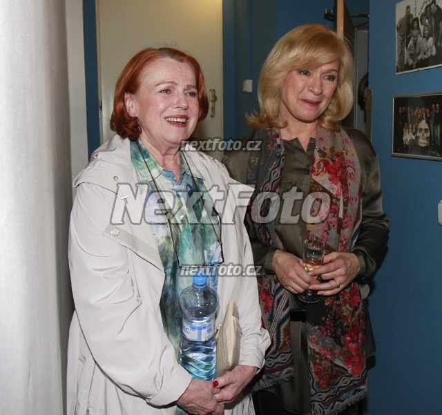 5667 Jana Paulova Iva Janzurova