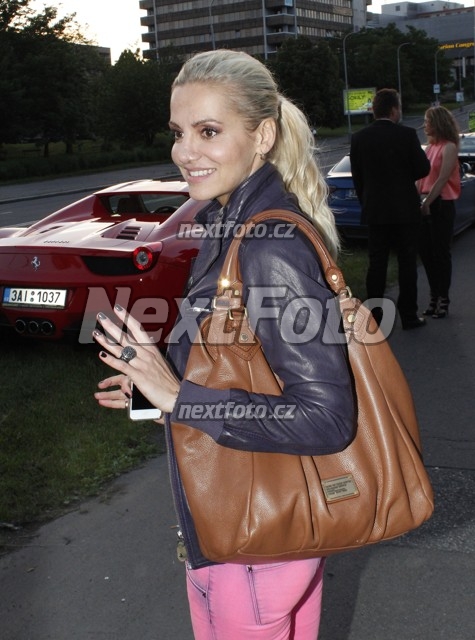 9509 Dara Rolins